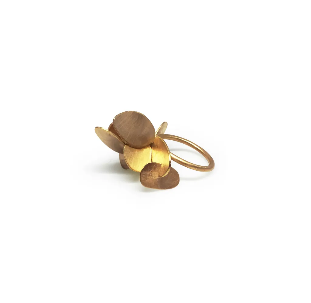UP_Ring-Brass-Gold-plated_02_def.webp